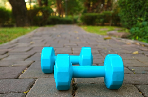 Closeup of Two Bright Blue Dumbbell on the Garden Paving Path