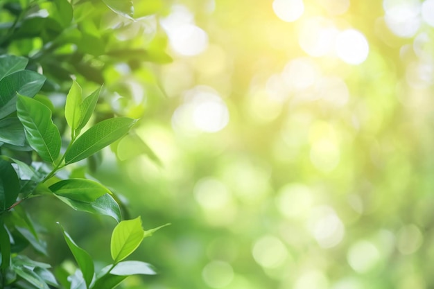 CloseUp van groen blad tegen een zacht vervaagde bos achtergrond Generatieve AI