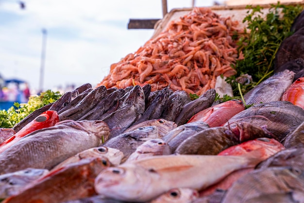 Closeup of variety raw freshly caught fish and shrimp for sale at local market or bazaar