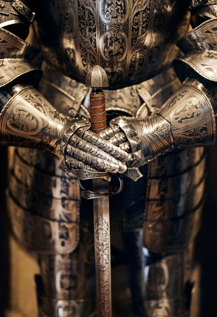Closeup vertical shot of an armor replica with hands holding a swan in the City of Prague
