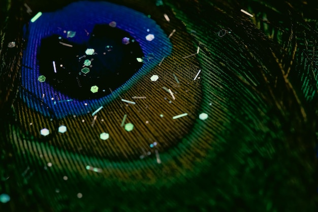 Photo closeup of a vibrant peacock feather background