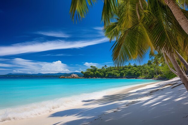 Closeup view of beach with white sand on the island lush palm trees tropical paradis