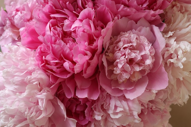 Closeup view of beautiful pink peony bouquet