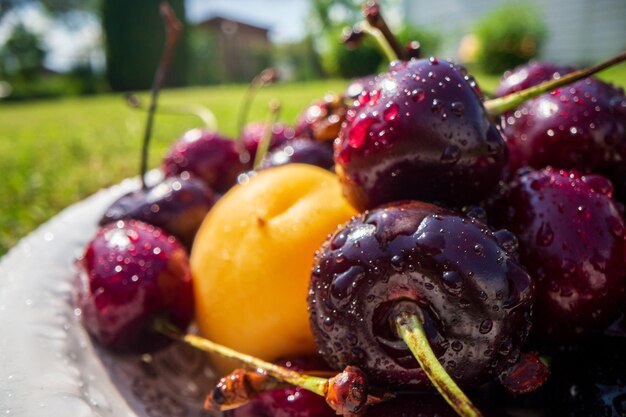 Foto vista ravvicinata del raccolto di ciliegie sdraiate sull'erba verde in giardino il concetto di alimenti sani vitamine agricoltura mercato vendita di ciliege
