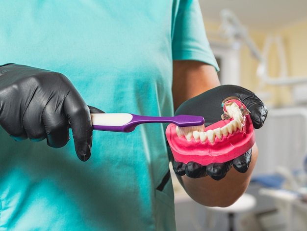 Closeup view of dentist's hands with a human jaw layout and a toothbrush