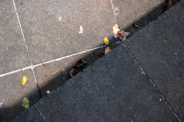 Photo closeup view of fallen leaves on the ground for seasonal background