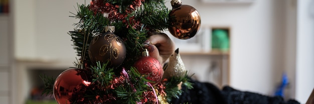 Closeup view of female hand placing shiny red christmas bauble on holiday tree.