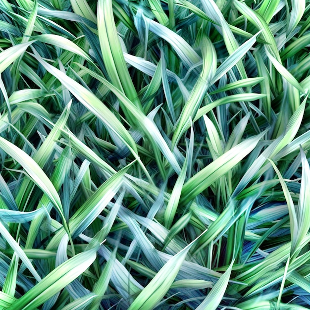 closeup view of a lawn