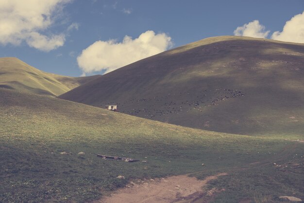 Closeup view of mountains scenes in national park Dombay, Caucasus, Russia, Europe. Dramatic blue sky and sunny summer landscape