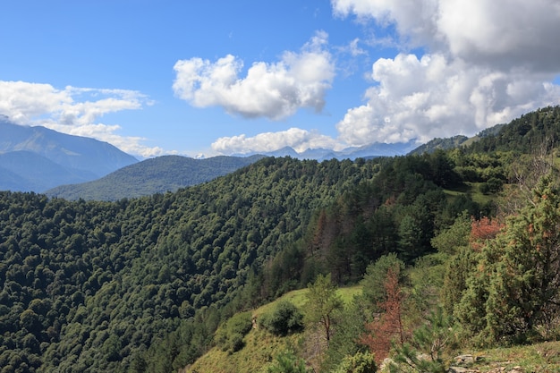 Closeup view mountains and valley scenes in national park Dombai, Caucasus, Russia, Europe. Summer landscape, sunshine weather, dramatic blue sky and sunny day