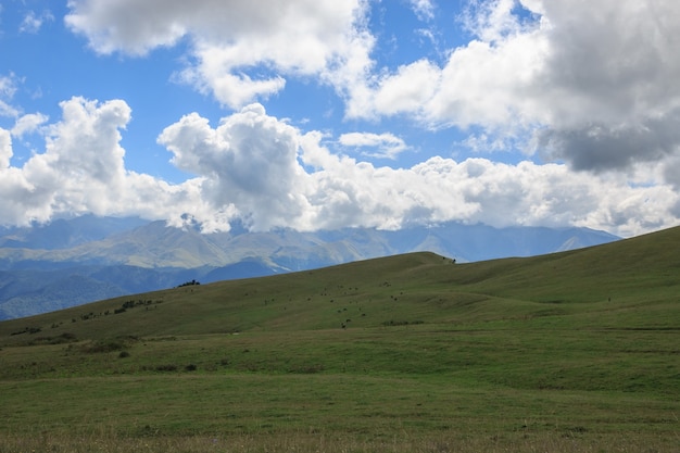 Primo piano montagne e scene di valle nel parco nazionale dombai, caucaso, russia, europa. paesaggio estivo, tempo soleggiato, cielo azzurro drammatico e giornata di sole