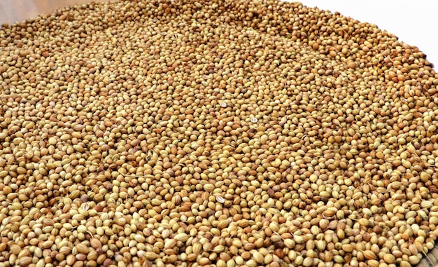 Closeup view of organic dried coriander seeds background