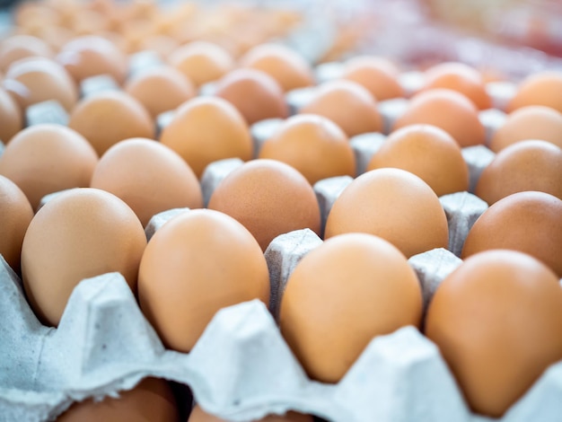 Closeup view of raw chicken eggs in egg box