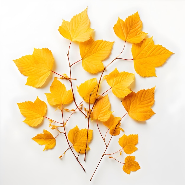 A closeup view of a yellow leaf in autumn