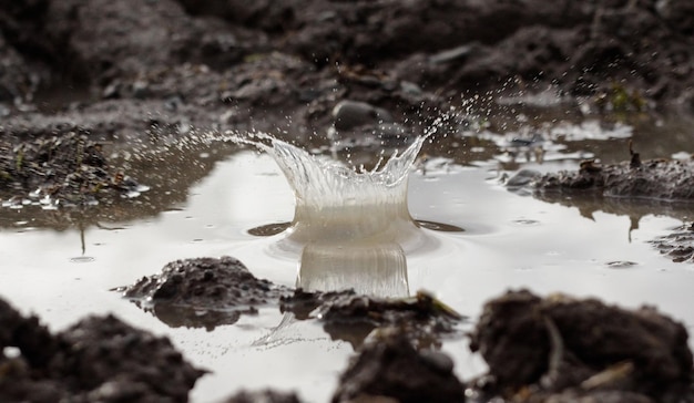 Closeup of the water splash in the muddy puddle