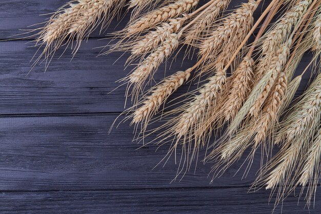 Closeup wheat grains on black wooden background