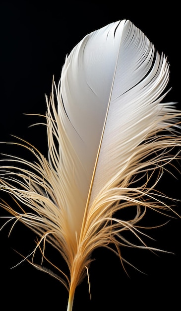 Closeup of white feathers on black background AI generated