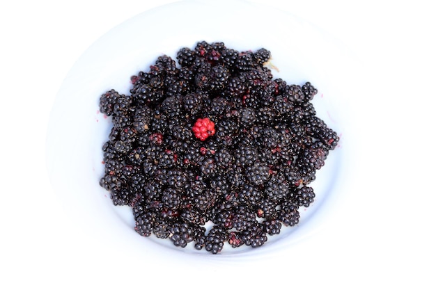 Closeup wild blackberry berries background