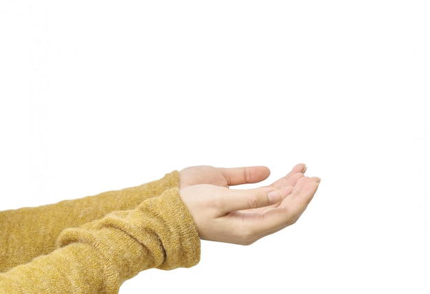 Closeup woman hold out hand isolated on white background