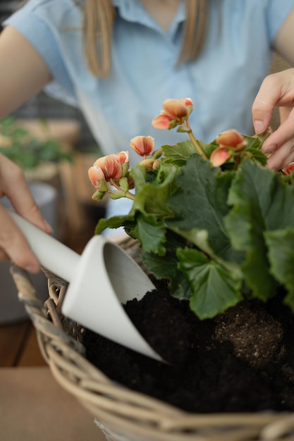 Closeup of a woman's hand planting flowers