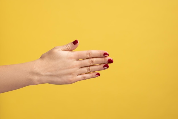 Closeup of woman showing the back of the hand beautiful soft skin of female hand handshake