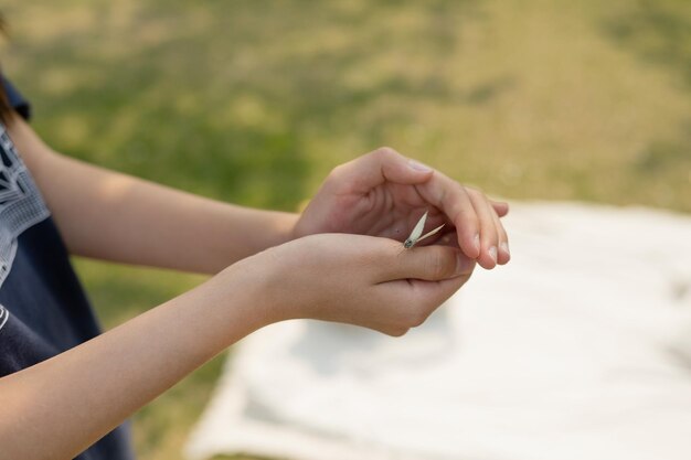 Closeup of a woman039s hand holding a butterfly in the park