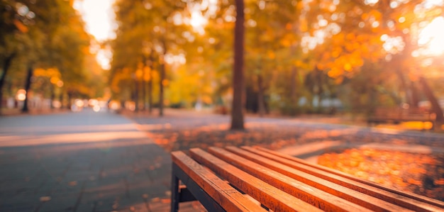 Closeup of wooden bench in city park. Natural blurred vintage autumn background, abstract seasonal