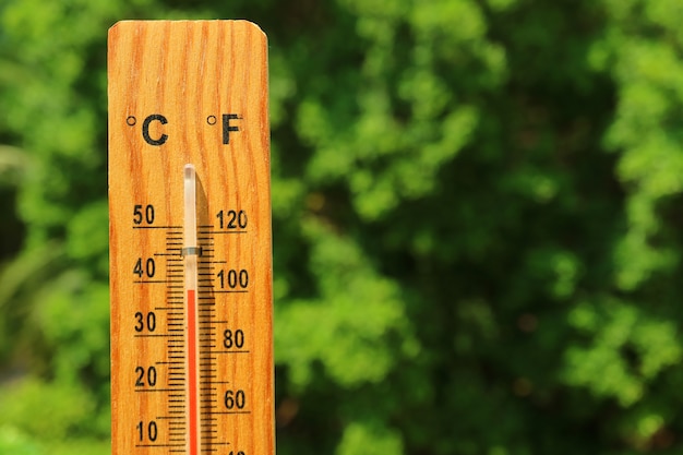 Foto primo piano un termometro di legno contro fogliame verde che mostra temperatura elevata