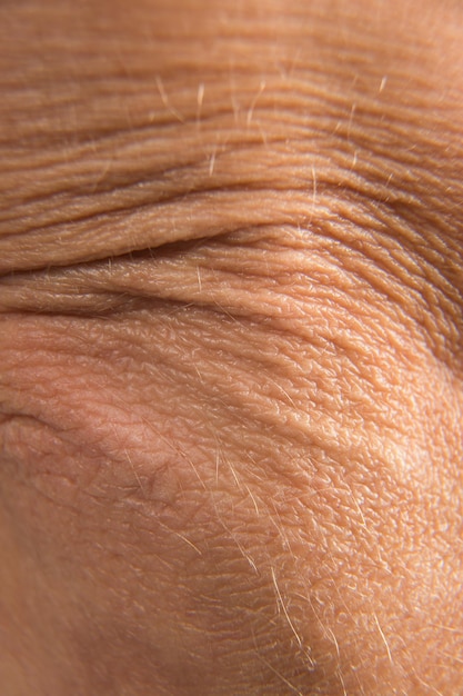 Closeup of wrinkles skin in deep layers Healthcare medical and aesthetic concept