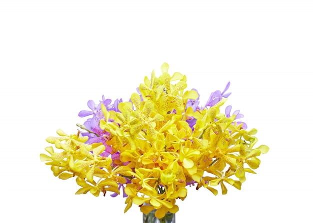 Photo closeup, yellow and purple orchid flower isolated on white background with clipping mask