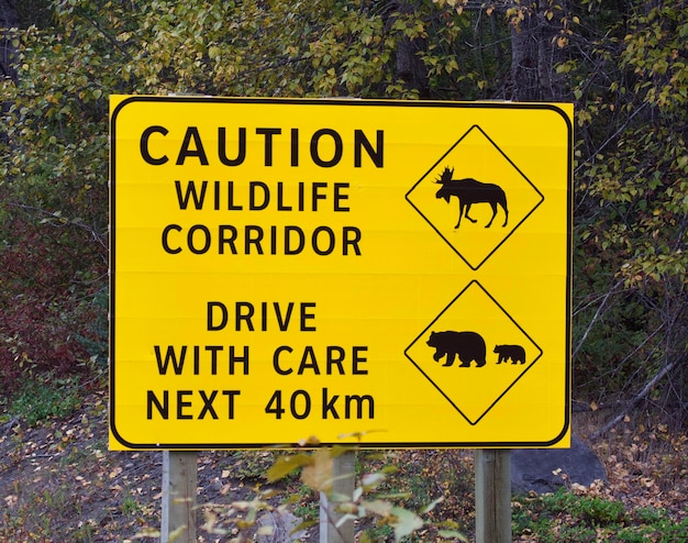 Foto close-up di un cartello giallo di avvertimento per la fauna selvatica canada isola di vancouver