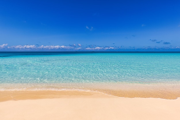 Closeup zandstrand zee golven en blauwe zomer hemel. Panoramisch strandlandschap. Leeg tropisch strand