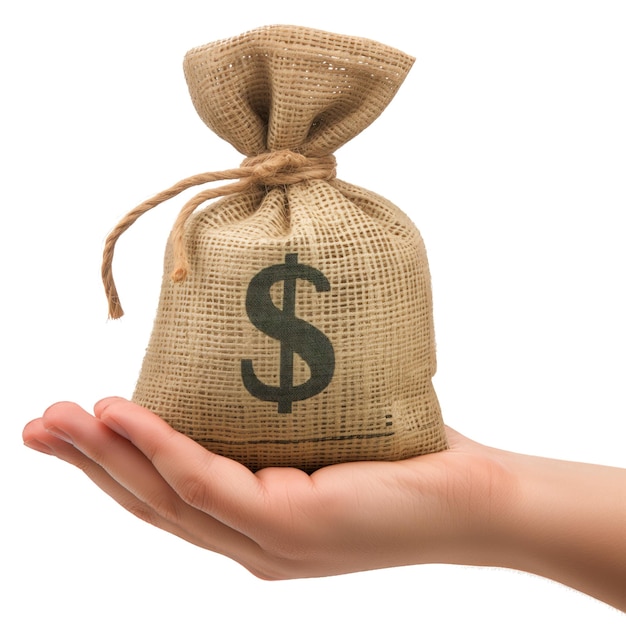 Cloth money bag in hand side view isolated on white or transparent background closeup of hand