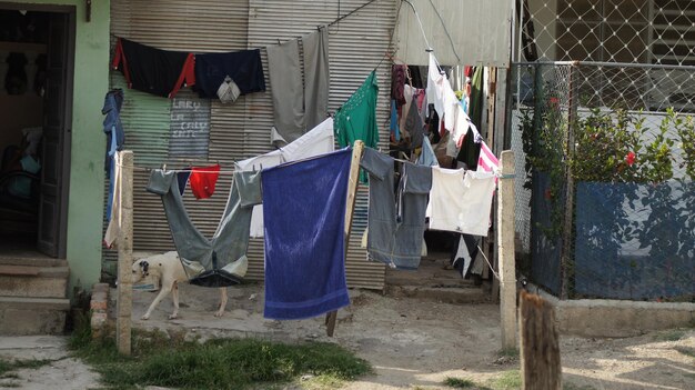 Clothes drying on clothesline at store