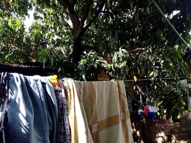 Photo clothes drying on clothesline