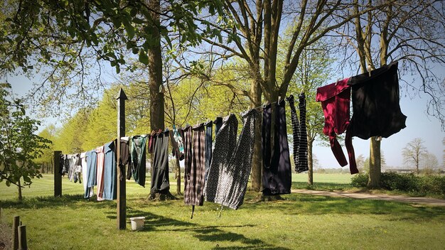 Clothes drying on clothesline