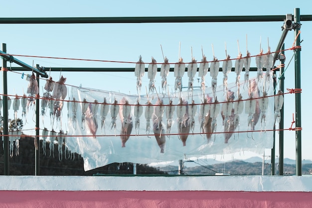 Photo clothes drying on rope against sky