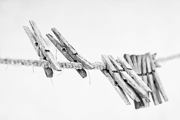 Photo clothespins on rope