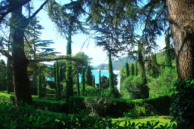 요렛 드 마르 스페인의 클로틸드 정원