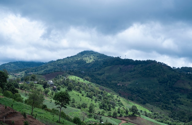 Cloud bedekt de bergtop in het noorden van Thailand.