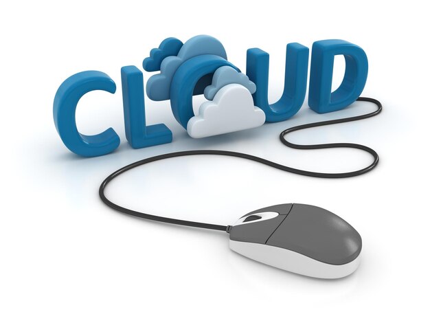Cloud computing-netwerk