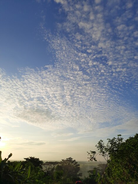 Cloud - sky