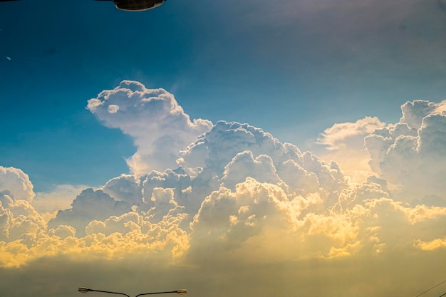 A cloud that has the word elephant on it