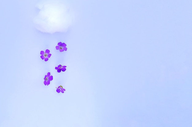 Cloud with flower rain on a pastel lilac