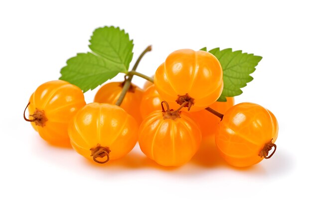 Cloudberry isolated on white background