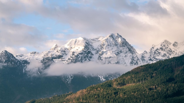 알프스 산맥 의 중심 에 있는 구름 에 인 산꼭대기