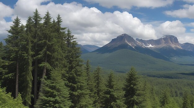 Clouds and big trees under huge mountains