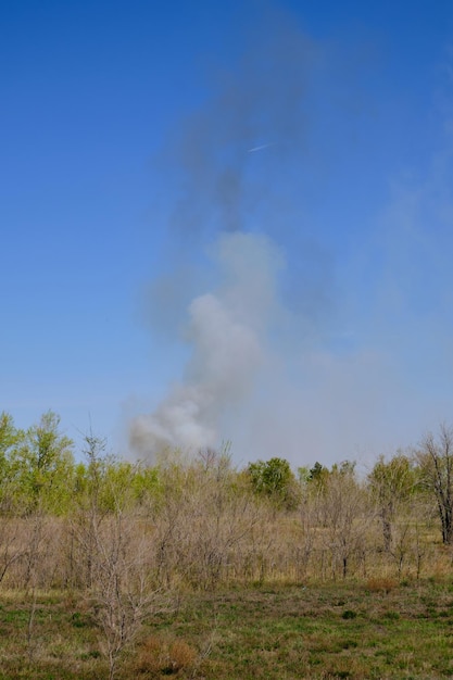 Clouds black and white smoke in forest plantation against blue\
skywildfires during summer heat