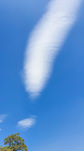 感嘆符の形で青空の雲 夏の天気