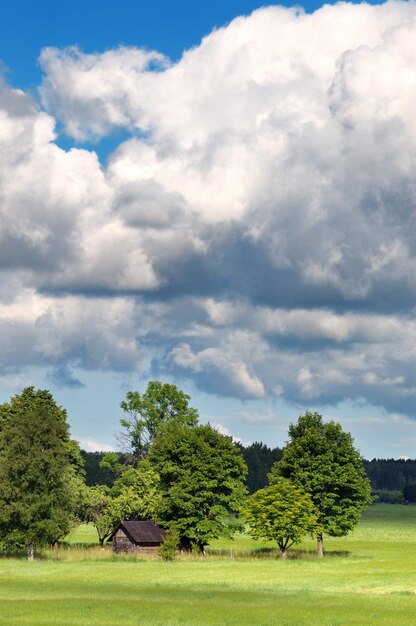 Photo clouds over the field